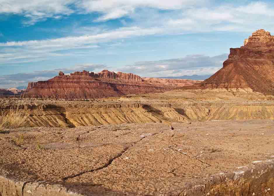 荒漠生態(tài)系統(tǒng)——荒漠生態(tài)系統(tǒng)的分布、基本特征