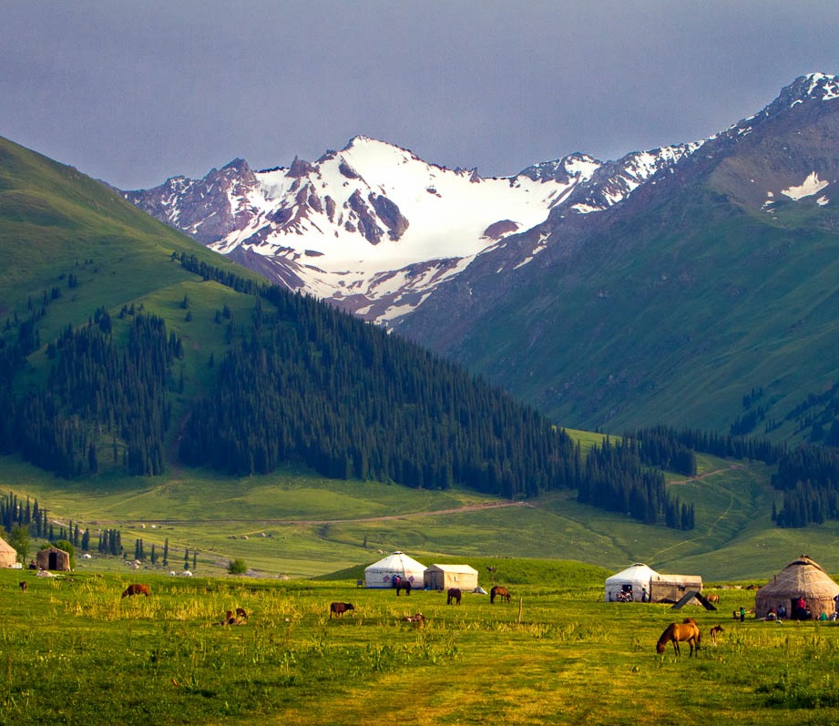 生態(tài)系統(tǒng)健康和管理——生態(tài)系統(tǒng)健康的管理原則、評估要點和指標