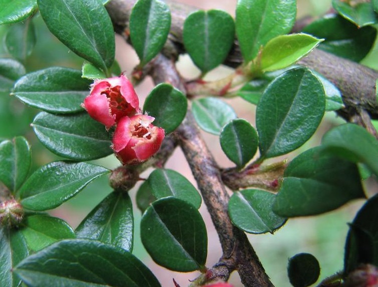 d52a2834349b033b1d3ec62f15ce36d3d439bd94.jpg d52a2834349b033b1d3ec62f15ce36d3d439bd94.jpg