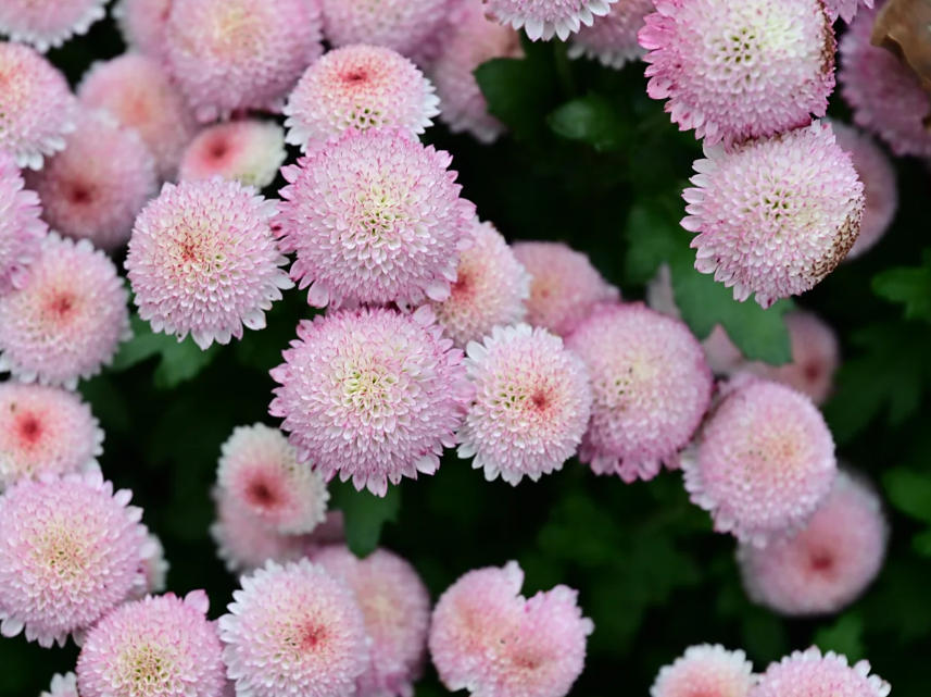 乒乓??1.jpg 乒乓??1.jpg